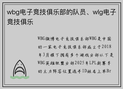 wbg电子竞技俱乐部的队员、wlg电子竞技俱乐